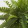 Nearly Natural Boston Fern Artificial Plant