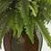 Nearly Natural Boston Fern Artificial Plant