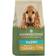 Harringtons dry puppy food rich turkey & rice 1.7kg