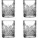 Pasabahce Timeless Snapsglas 0.06cl 4st