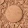 Laura Geller Baked Balance-n-Brighten Color Correcting Foundation Golden Medium