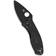 Spyderco C148PBK Pocket knife