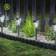 Smart Garden Solar 365 Triton Ground Lighting