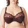 PrimaDonna Deauville Full Cup Bra - Ristretto