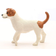 Schleich Jack Russell Terrier 13916