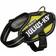 Julius-K9 IDC Powerharness Baby 2