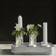 Born in Sweden Vase Stumpastaken Lot de 4 Transparent Bougie et Accessoire 4pcs