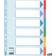 Esselte CF20 Inter Calar Carton 6 T A4 Pack 20