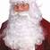 Amscan 4-piece Premium Santa Wig And Beard Set