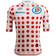 Santini Tour de France 2024 Authentic Team Jersey