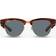 Ray-Ban Mega Clubmaster RB0316S Glass Polarized Striped Havana/Dark Classic