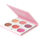 Ofra Mini Mix Palette Blushful