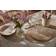 Dixie Elin Set de table Gris (38x38cm)