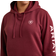 Ariat Women's Logo Hoodie - Zinfandel