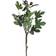 Trademax Fig Kunstig plante