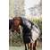 Kentucky Horsewear All Weather Waterproof Classic Turnout Rug, 0g DB/AB unisex