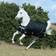 Bucas Anniversary Turnout Rug - Black/Silver