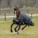 Bucas Anniversary Turnout Rug - Black/Silver