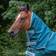 Bucas Atlantic Combi Neck Green Halsteil