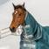 Bucas Atlantic Combi Neck Green Halsteil
