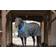 Catago Stable Rug 420D, 300g Black/Blue unisex