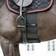 Catago Respect Band For Horse - Noir