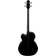 Takamine GB30CE