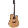 Takamine GD20-NS