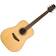 Takamine GD20-NS