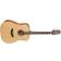 Takamine GD20-NS