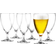 Holmegaard Perfection Ølglas 44cl 6stk