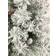 EVRE Snowy Christmas Tree 213.4cm