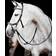 Horseware Bridles & Nosebands