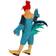 Fun Adult Disney Moana Hei Hei Costume