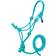 Tough Mini Rope Halter with Lead Med Turquoise