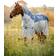 Horseware Hestetøj Amigo Ameco Kombidækken Teal/ Grey unisex