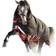Rambo Outdoor Horse Blanket Supreme 1680D Turnout - Hvy