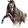 Rambo Supreme 1680D Vari Layer Heavy/ 450G fra Horseware