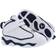 Nike Air Jordan Pro Strong TDV - White/Blue