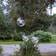 Star Trading Solc Dek GlobeHang Pendellampa ∅ 10cm 3st