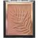 Wet N Wild Color Icon Bronzer Sienna Brown