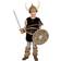 Funny Fashion Viking Costume