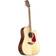 Takamine GD93CE