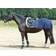 Busse Quarter Sheet Exercise Fly Rug 6'0-6'3