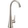 Moen (S5535SRS) Stainless Steel