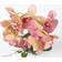 Homescapes Coral Orchid Artificial Plant