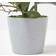 Homescapes Coral Orchid Artificial Plant