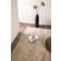 Venture Design Walter Beige 240x240cm