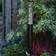 LightsOn Paulmann Pollare 64cm