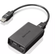 Lenovo DisplayPort - Dual DisplayPort M-F Adapter